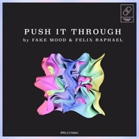 Push it through - Single - Fake Mood & Felix Raphael