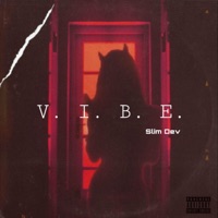 Vibe - Single - Slim Dev