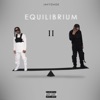 Equilibrium II