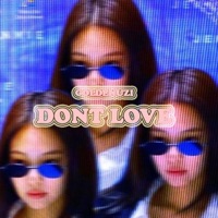 Don't Love - Single - Goldenuzi