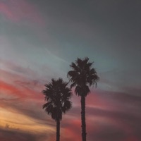 Canción Para Pedir Perdón - Single - Alan Vargas