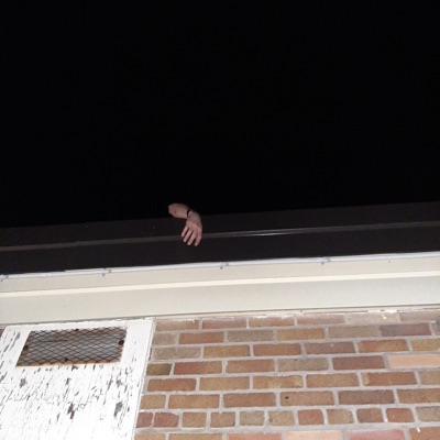 Sweet Dreamzzz - Single