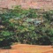 Indian Summer - Glimlip & Sebastian Kamae lyrics