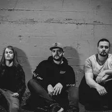 The Terpsを聴いたり、ミュージックビデオを鑑賞したり、経歴やツアー日程などを確認したりしましょう！