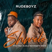 Shwele (feat. DJ Tira, Dladla Mshunqisi & Shayo) artwork