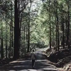 Dengarkan Ran6dy, tonton video musik, baca bio, lihat tanggal tur & lainnya!