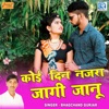 Koi Din Najra Jagi Janu (Original) - Single