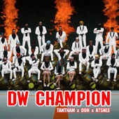 DW champion artwork