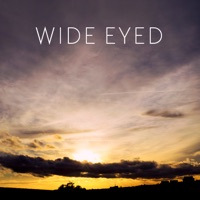 Like Clockwork - Single - Wide Eyed