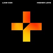 Higher Love artwork