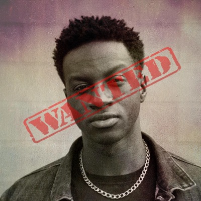 Wanted (Radio Edit) - Single