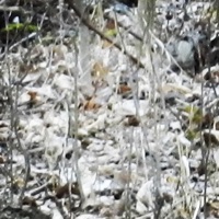 Take It All - Single - Death Plus