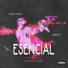 Esencial - Single