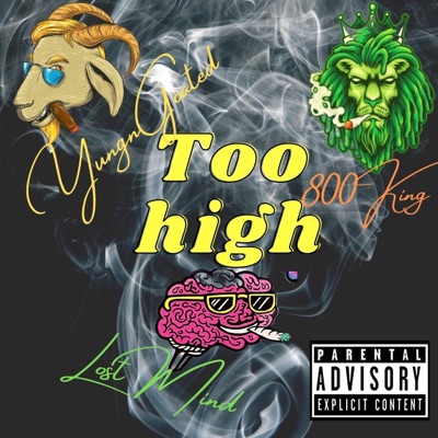Too High (feat. Lost Mind & 800 King) - Single
