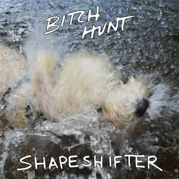 Shapeshifter album cover