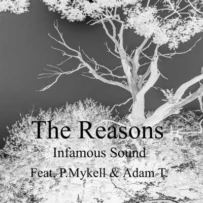 The Reasons (feat. P. Mykell & Adam Tabb) - Single