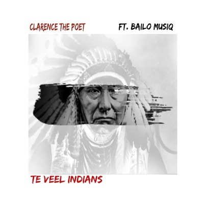 Te Veel Indians (feat. Bailo Musiq) - Single