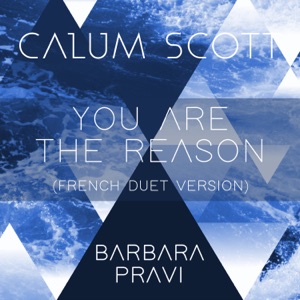 You Are the Reason (French Duet Version)