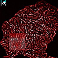 What if the dead dream (feat. Ela Minus) - Single - Agoria