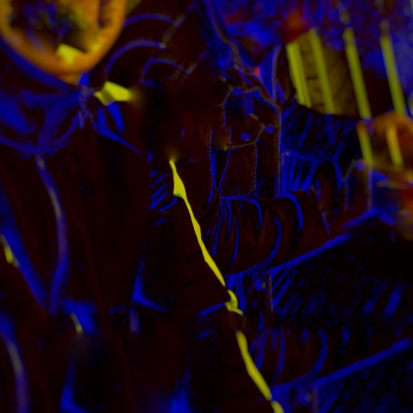 Svnris3