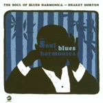 Big Walter Horton - Good Moanin' Blues