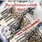 BOSTON TWO STEP (feat. GAVIN PIPER) - Garry Alexander lyrics