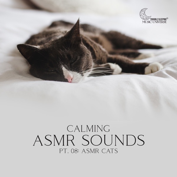 Calming ASMR Sounds, Pt. 08: ASMR Cats, Hush Hush Nighty Night with Cats Purring, Deep Sleep with ASMR, Sound Effects Pleasure Therapy, Baby Music Soother, ASMR Cats Massage, Bedtime ASMR