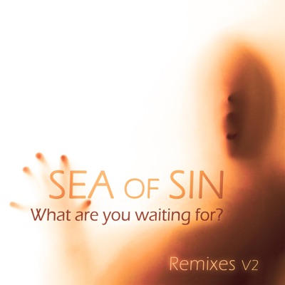 What Are You Waiting for? (Remixes V2) - EP