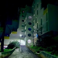 Narval - Single - Zy