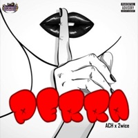 Perra (feat. Nyzk & 2wice) - Single - Ach