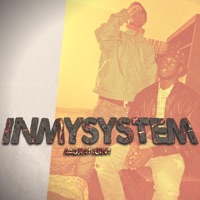 #Inmysystem (feat. FFB FontayMcGuap) - Single - AntDub