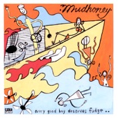 Mudhoney - Broken Hands
