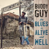 The Blues Is Alive and Well cover