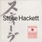 Firewall - Steve Hackett lyrics