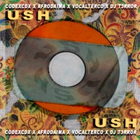 Ush - Single - DJ T3rror, AfroDaima., VocaLTerco & Codexcdx