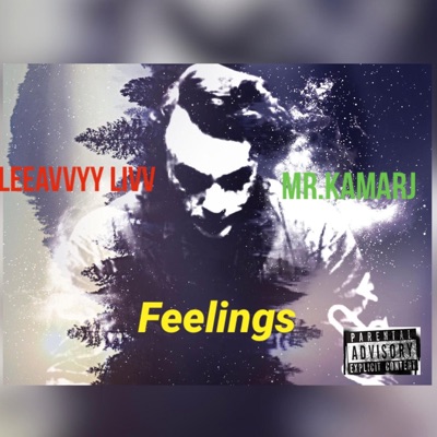 Feelings (feat. Mrkamarj) - Single