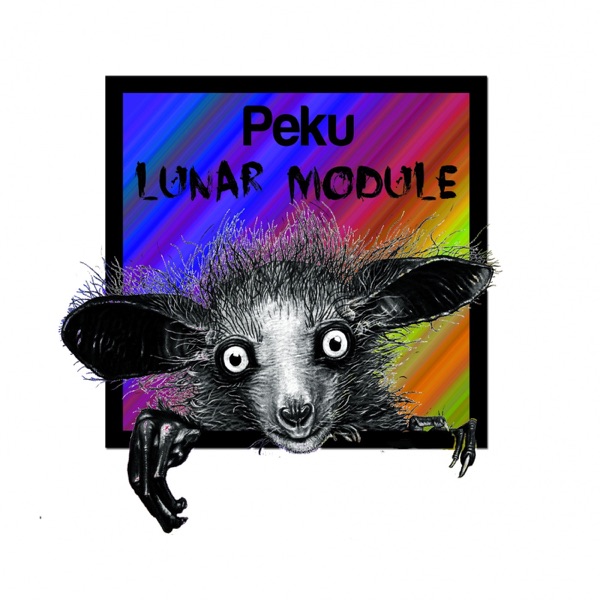 Lunar Module - Single