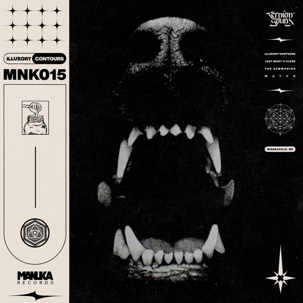Illusory Contours (feat. vandull) - EP