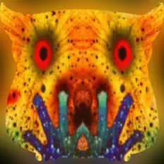 Ouça Search Division, assista a videoclipes, leia a biografia, veja as datas das turnês e mais!