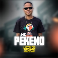 Leia os Sinais - Single - mc pekeno