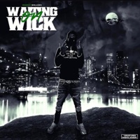 Zelda Vibes (feat. Shawny Binladen) - Single - y3tga