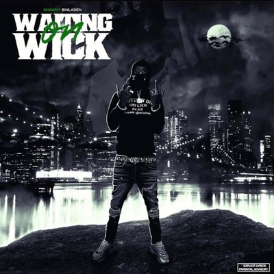 Zelda Vibes (feat. Shawny Binladen) - Single