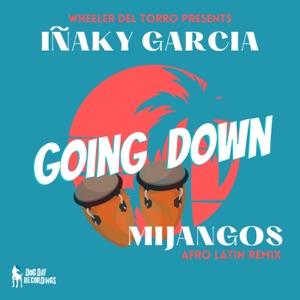 Going Down - Single