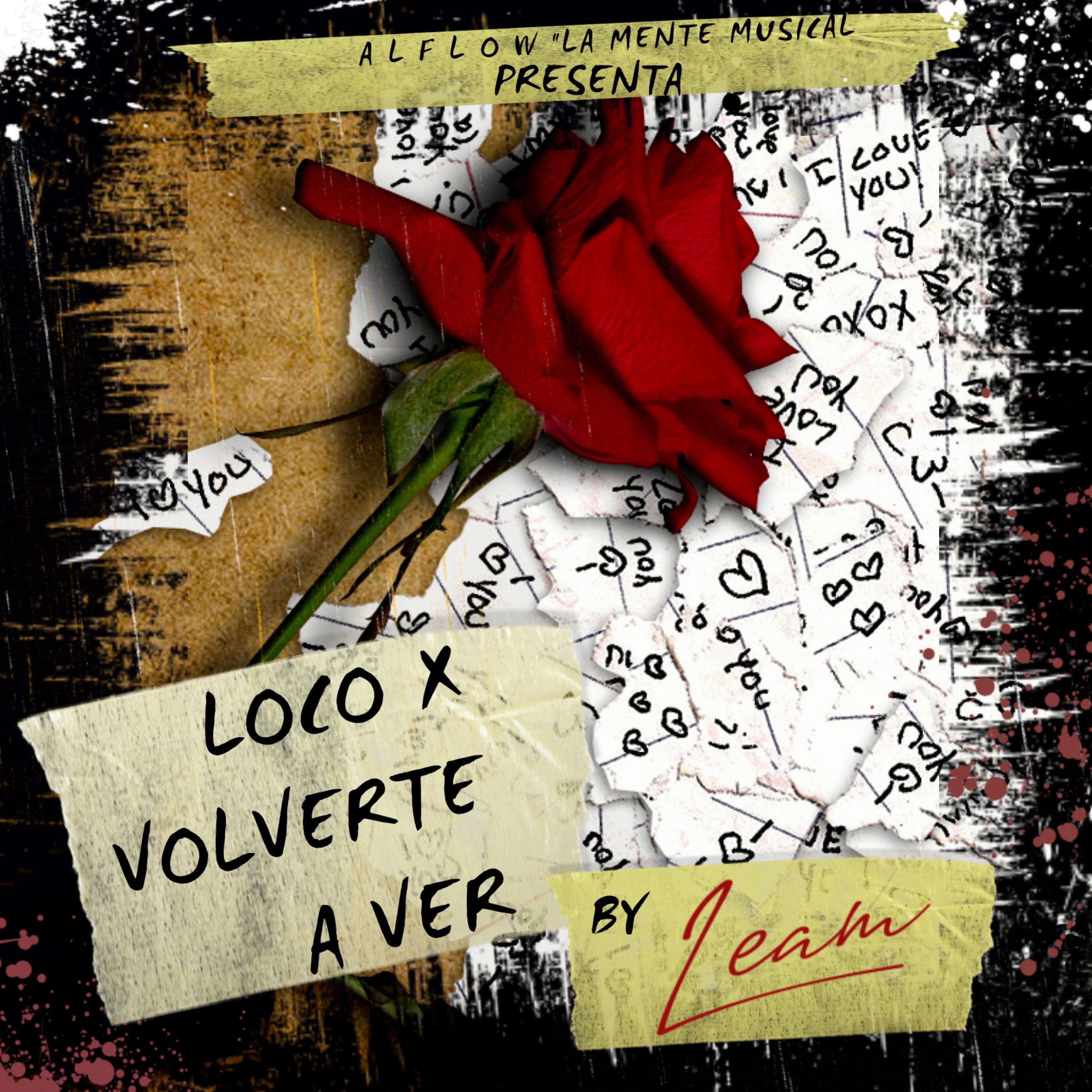 Loco por volverte a ver (versión bachata) [versión bachata] - Single