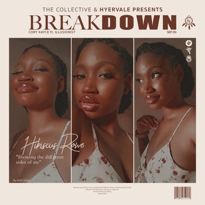 BreakDown (feat. Illusionist) [Radio Edit] [Radio Edit] - Single