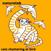 Naturelab - Cats Chattering At Bird