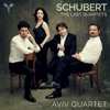 Aviv Quartet - String Quartet No. 15 in G Major, D. 887: IV. Allegro assai