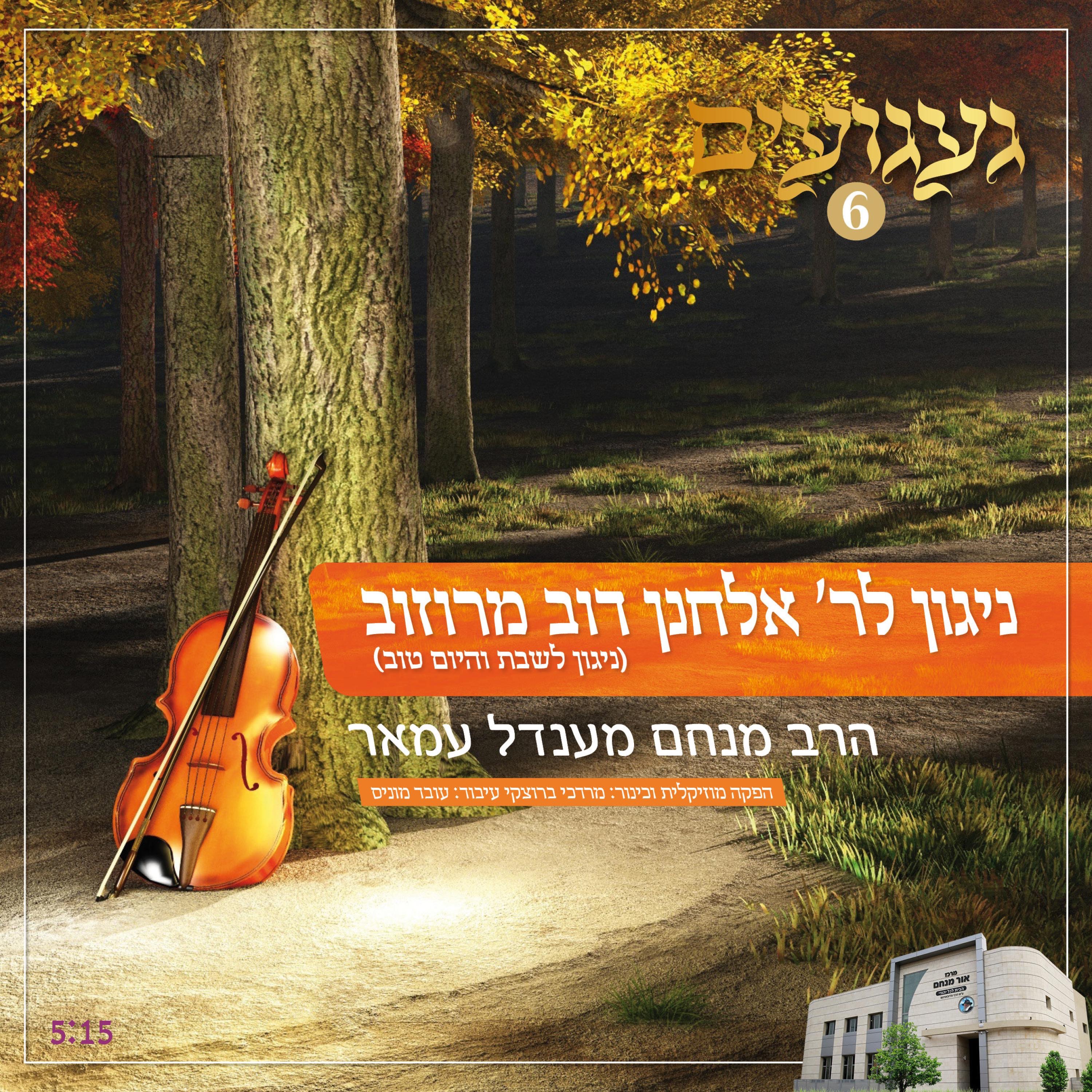 ניגון לר' אלחנן דוב מרוזוב - Single