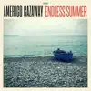 Amerigo Gazaway - 'Til Next Time