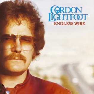 descargar álbum Gordon Lightfoot - Endless Wire